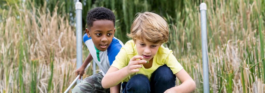 research hero / two boys looking at bugs in a marsh